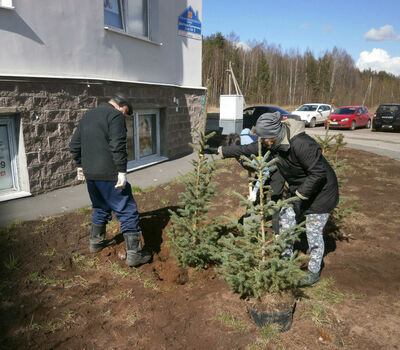 Подарок депутата Богдашова В.Е
