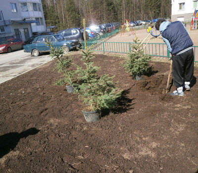 Подарок депутата Богдашова В.Е