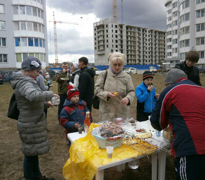 Субботник 25.04.15