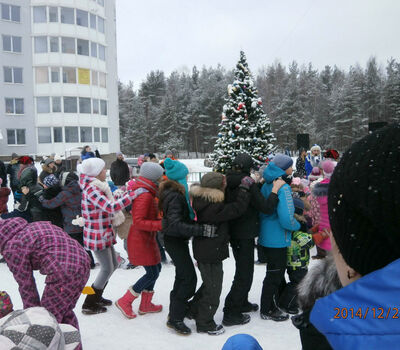 Новый 2015 год