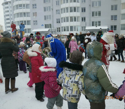 Новый 2015 год