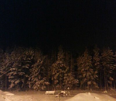 Новый 2015 год