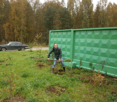 Субботник 05.10.14